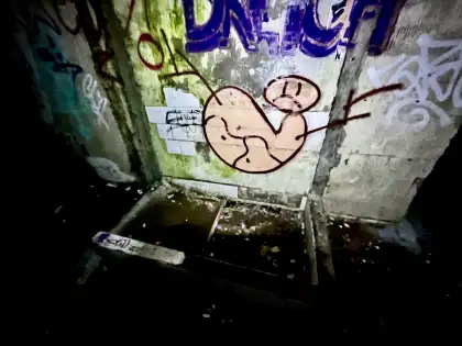 St Peter's Seminary photograph 30