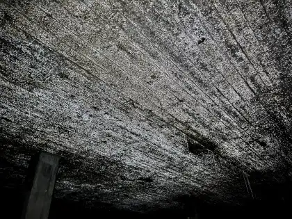 St Peter's Seminary photograph 58