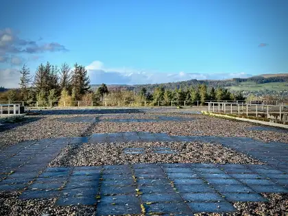 Prudential Craigforth photograph 1498