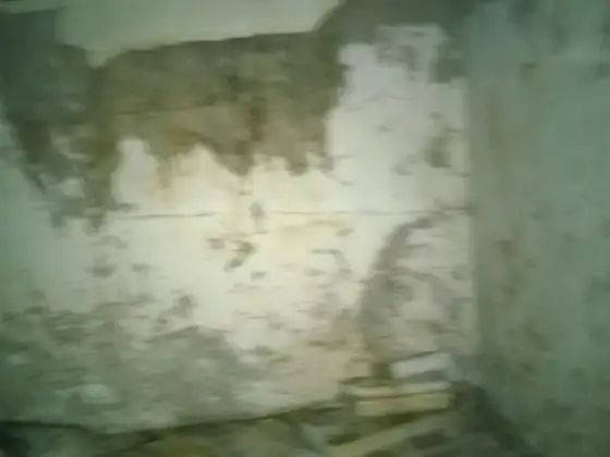 ABP Bathgate photograph 20