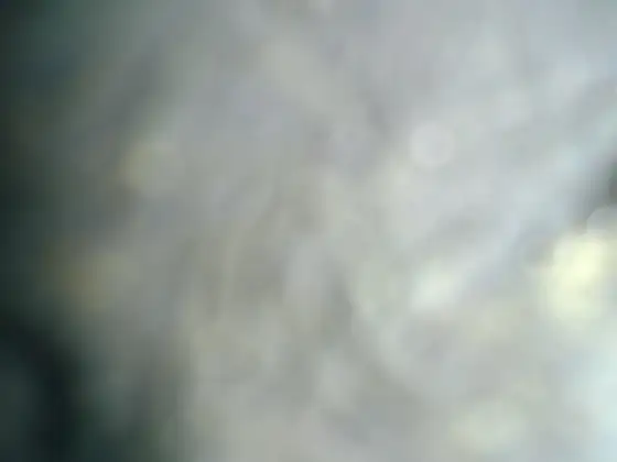 ABP Bathgate photograph 25