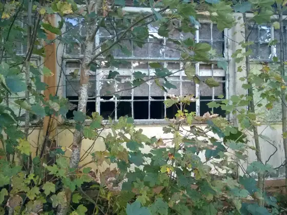 Bangour Village Hospital photograph 88