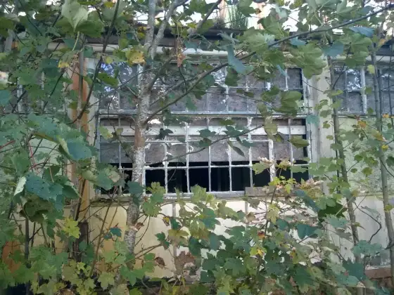 Bangour Village Hospital photograph 87