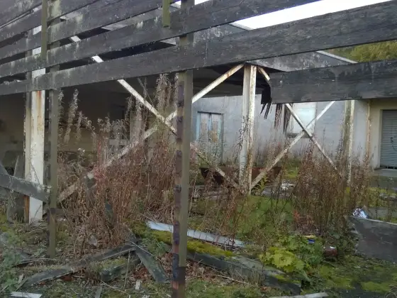 Bangour Village Hospital photograph 138