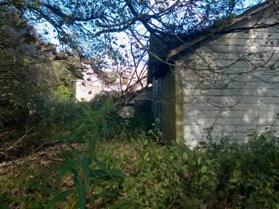 Bangour Village Hospital photograph 209
