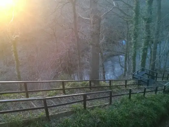 Birkhill Fireclay Mine photograph 3