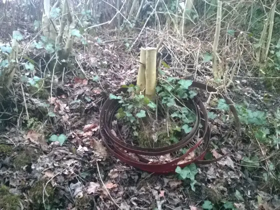 Birkhill Fireclay Mine photograph 19