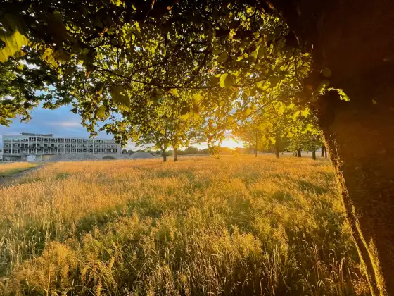 Forth Valley College photograph 22