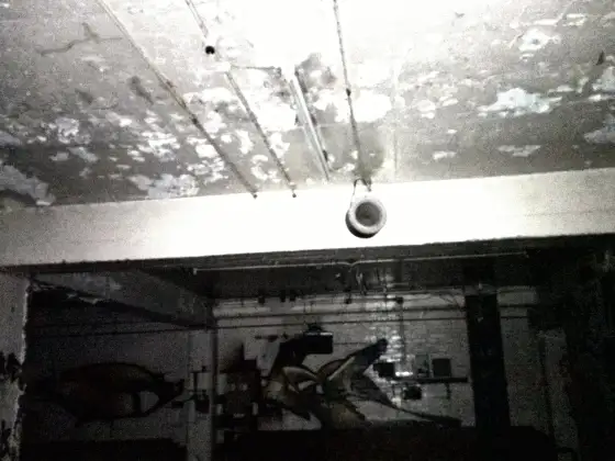 Gray, Dunn & Co. Biscuit Factory photograph 23