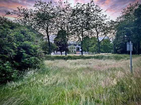 Prudential Craigforth photograph 1028