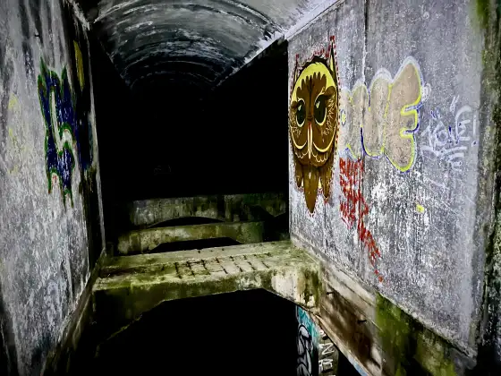 St Peter's Seminary photograph 27