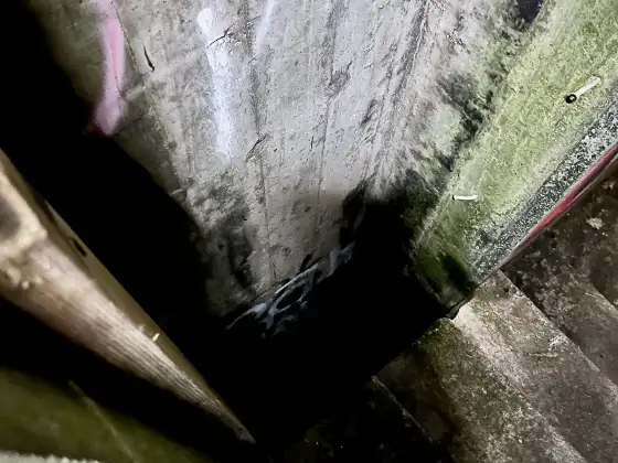 St Peter's Seminary photograph 31