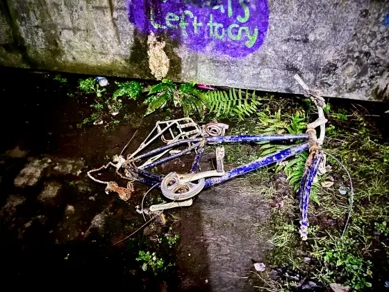 St Peter's Seminary photograph 35