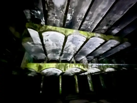 St Peter's Seminary photograph 38