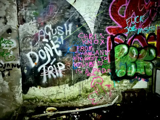 St Peter's Seminary photograph 46