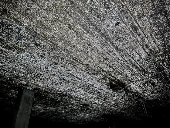 St Peter's Seminary photograph 58