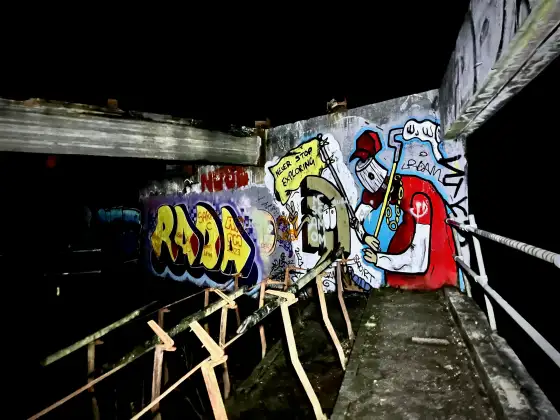 St Peter's Seminary photograph 65