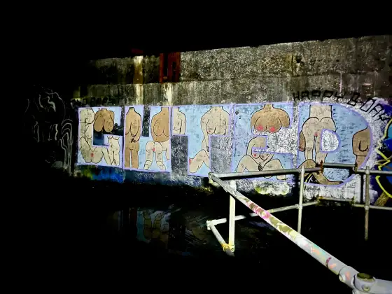 St Peter's Seminary photograph 68