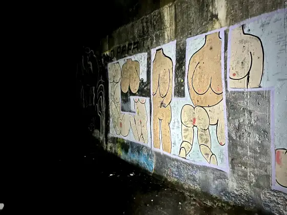 St Peter's Seminary photograph 73