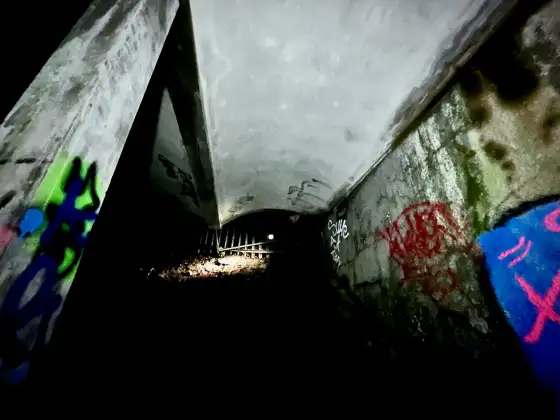 St Peter's Seminary photograph 96