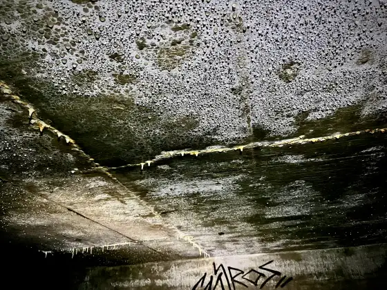 St Peter's Seminary photograph 49