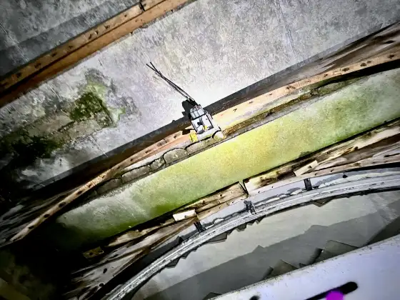 St Peter's Seminary photograph 17