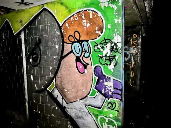 St Peter's Seminary photograph 22