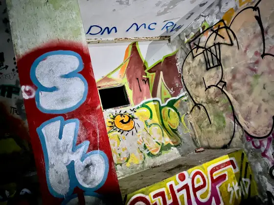 St Peter's Seminary photograph 45