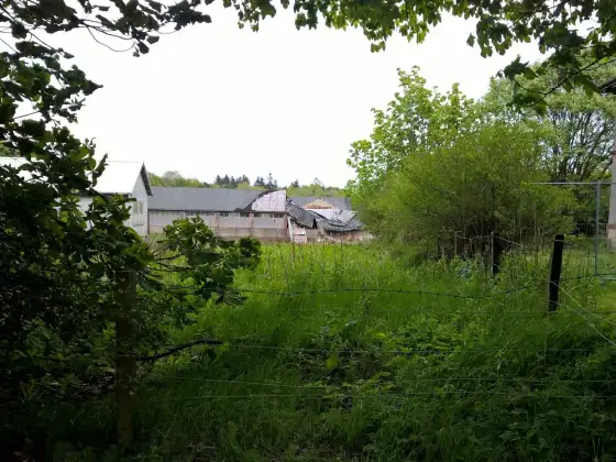 Strathmartine Hospital photograph 20