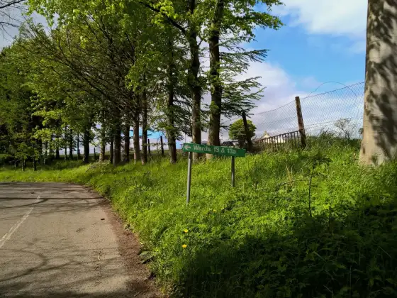 Strathmartine Hospital album cover