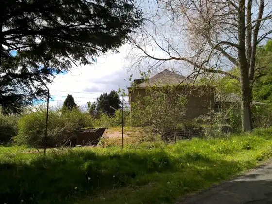 Strathmartine Hospital photograph 7