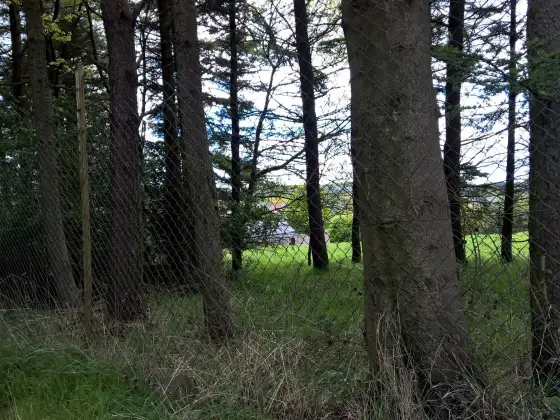 Strathmartine Hospital photograph 15