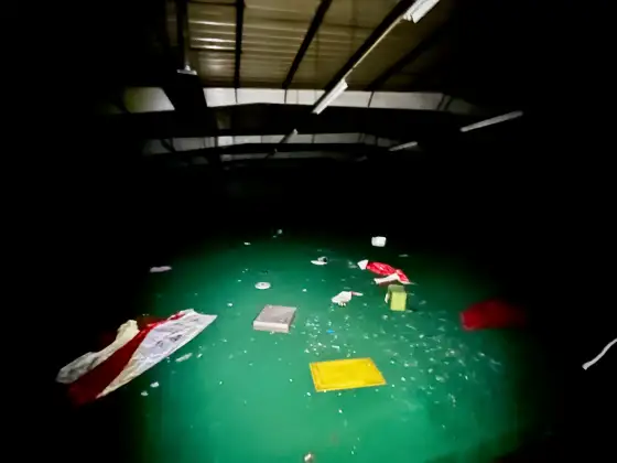 The Leisure Bowl photograph 2